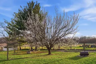 599 Palmyra Rd, Dixon, IL 61021 - Photo 32