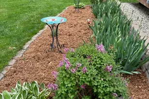 375 S Lake St, Grayslake, IL 60030 - Photo 26