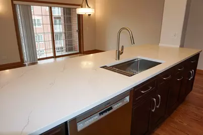 4811 N Olcott Avenue #516, Harwood Heights, IL 60706 - Photo 2