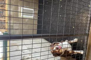 1801 Lee Center Rd, Amboy, IL 61310 - Photo 36