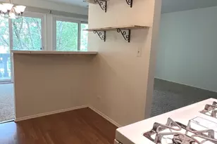 225 Deerpath Ct, Schaumburg, IL 60193 - Photo 10