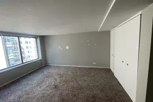 233 E Erie St, Chicago, IL 60611 - Photo 4