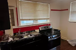 8226 S Paulina St, Chicago, IL 60620 - Photo 4