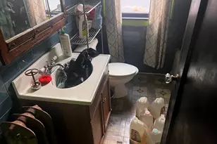 8226 S Paulina St, Chicago, IL 60620 - Photo 12