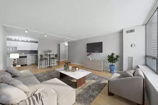 233 E Erie St, Chicago, IL 60611 - Photo 4