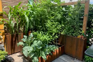 2334 W Medill Ave, Chicago, IL 60647 - Photo 30