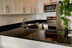 1030 N State St, Chicago, IL 60610 - Photo 8