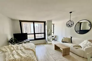 1030 N State St, Chicago, IL 60610 - Photo 6