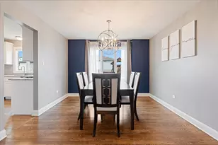 8667 Monaghan Dr, Tinley Park, IL 60487 - Photo 4