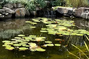 1524 W Mooseheart Rd, North Aurora, IL 60542 - Photo 30