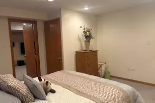 20004 Everett Ln, Mokena, IL 60448 - Photo 24