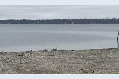 34 W Grand Avenue #203, Fox Lake, IL 60020 - Photo 14