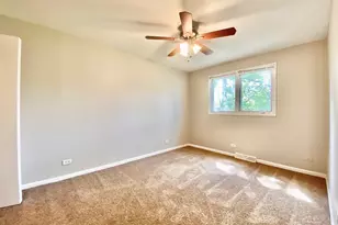 22962 Bruce Dr, Richton Park, IL 60471 - Photo 10