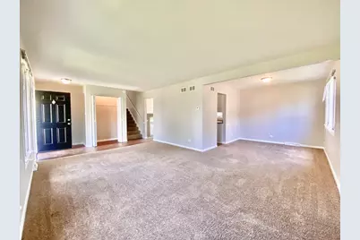 22962 Bruce Drive, Richton Park, IL 60471 - Photo 4