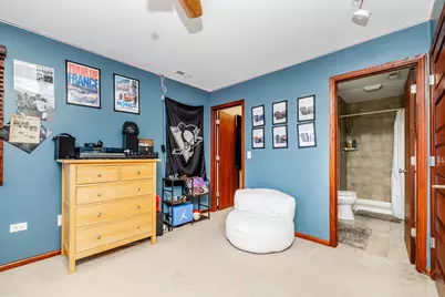 12212 S Richard Avenue, Palos Heights, IL 60463 - Photo 52