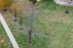 1133 Wilshire Ln, Lake Villa, IL 60046 - Photo 36