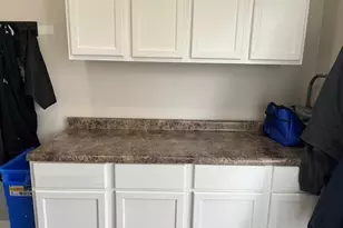 2409 Chestnut Ln, Morris, IL 60450 - Photo 26