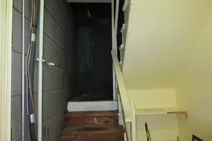 10011 S Exchange Ave, Chicago, IL 60617 - Photo 46