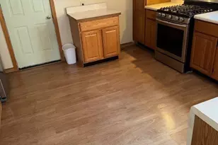 10011 S Exchange Ave, Chicago, IL 60617 - Photo 44