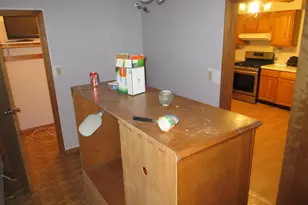 10011 S Exchange Ave, Chicago, IL 60617 - Photo 40