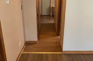 10011 S Exchange Ave, Chicago, IL 60617 - Photo 52