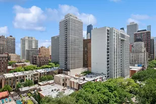 1250 N Dearborn St, Chicago, IL 60610 - Photo 18