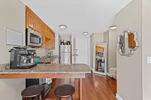 1 E Scott St, Chicago, IL 60610 - Photo 8