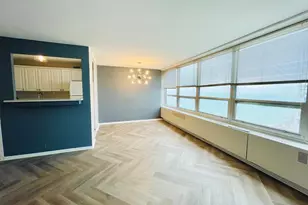 4800 S Chicago Beach Dr, Chicago, IL 60615 - Photo 4