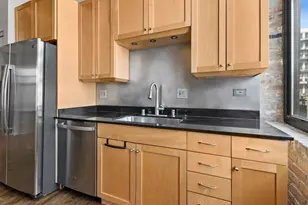 525 W Superior St, Chicago, IL 60654 - Photo 10