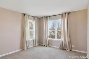 3201 Christopher Ct, Johnsburg, IL 60051 - Photo 12