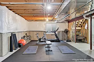 3201 Christopher Ct, Johnsburg, IL 60051 - Photo 24