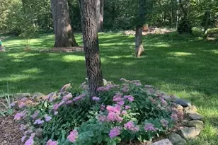 48 Indian Hills Dr, Putnam, IL 61560 - Photo 44