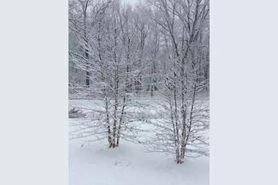 48 Indian Hills Drive, Putnam, IL 61560 - Photo 44