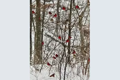 48 Indian Hills Drive, Putnam, IL 61560 - Photo 38