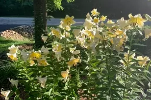 48 Indian Hills Dr, Putnam, IL 61560 - Photo 36