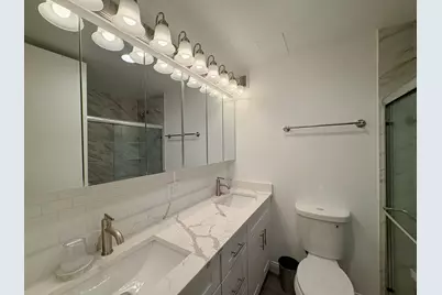 2921 S Michigan Avenue #102, Chicago, IL 60616 - Photo 16