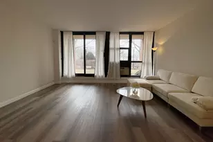 2921 S Michigan Ave, Chicago, IL 60616 - Photo 8