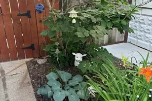 5055 W Argyle St, Chicago, IL 60630 - Photo 48