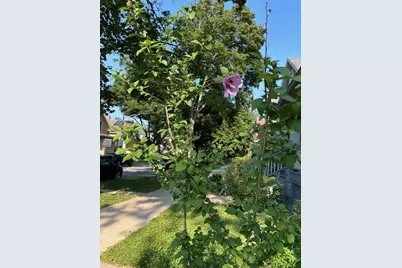 5055 W Argyle Street, Chicago, IL 60630 - Photo 54