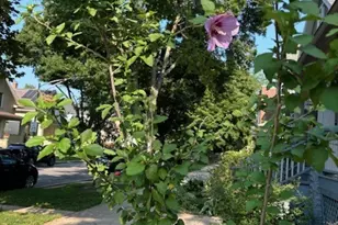 5055 W Argyle St, Chicago, IL 60630 - Photo 54