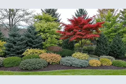 778 Wilson Avenue, Glen Ellyn, IL 60137 - Photo 38