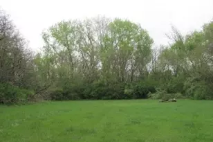 4250 Bargo Ln, Morris, IL 60450 - Photo 1