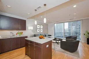 10 E Delaware Pl, Chicago, IL 60611 - Photo 6