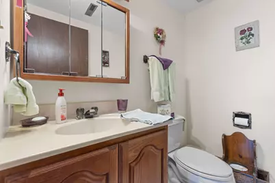 1124 N Anvil Court, Addison, IL 60101 - Photo 20