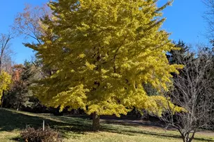 674 Plum Tree Rd, Barrington Hills, IL 60010 - Photo 62