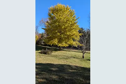 674 Plum Tree Road, Barrington Hills, IL 60010 - Photo 64