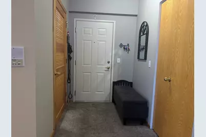 5351 W Mint Julip Drive #301, Alsip, IL 60803 - Photo 24