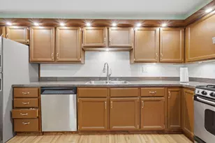 8741 W Summerdale, Chicago, IL 60656 - Photo 12