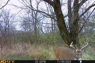 8877 Kennedy Rd, Yorkville, IL 60560 - Photo 78