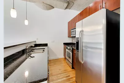 1110 W 15th Street #125, Chicago, IL 60608 - Photo 10